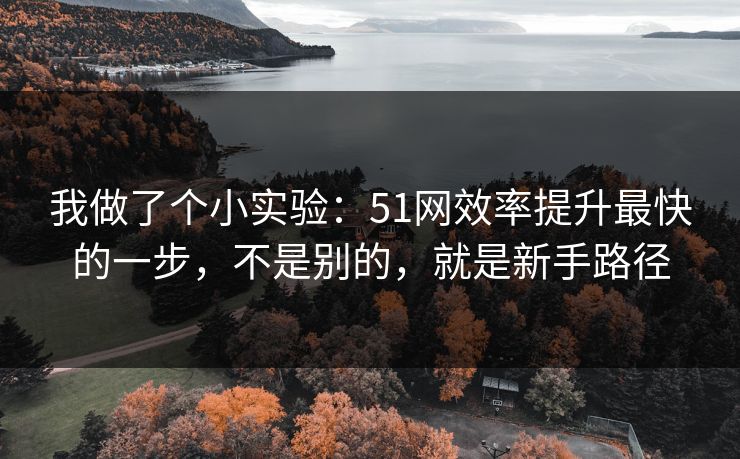 我做了个小实验：51网效率提升最快的一步，不是别的，就是新手路径