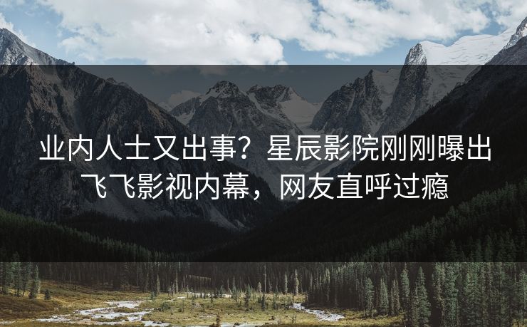 业内人士又出事?星辰影院刚刚曝出飞飞影视内幕,网友直呼过瘾